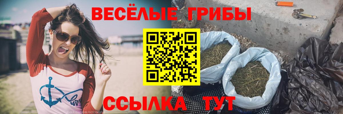 купить наркотик  Вход с VPN  Галлюциногенные грибы Cubensis  Баксан  Галлюциногенные грибы Cubensis 